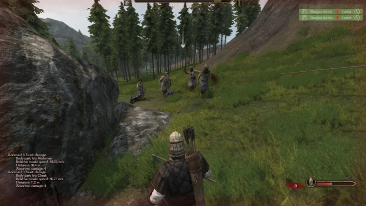 Test de Mount & Blade II : Bannerlord