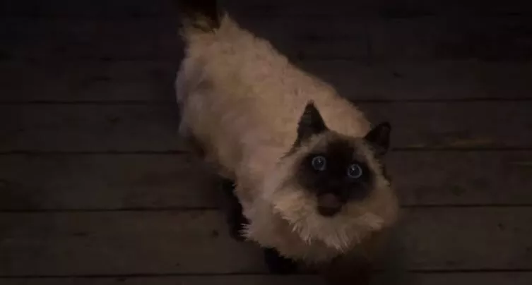 Forspoken : Tous les personnages et rôles 2 Forspoken : Tous les personnages et rôles