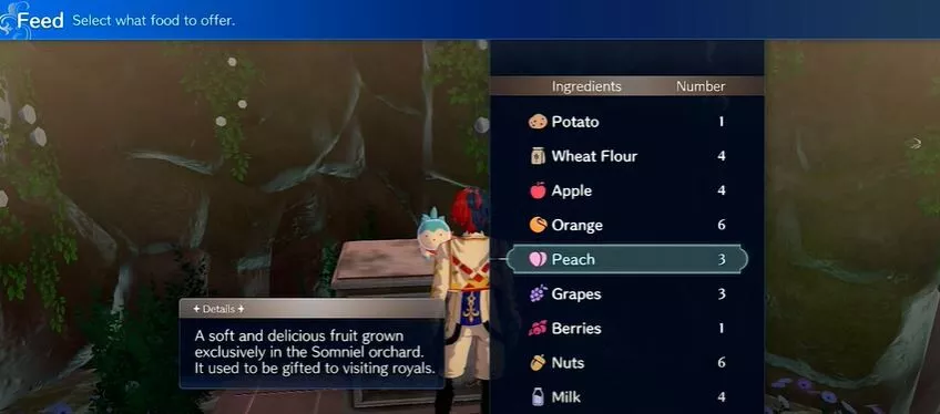 Fire Emblem Engage : Sommie [Complete Guide]