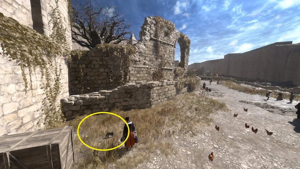 Forspoken : Tous les détours de Chasing the Cat et le guide Poppets