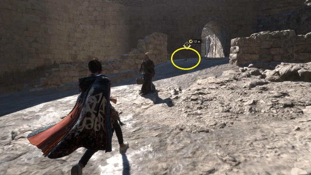 Forspoken : Tous les détours de Chasing the Cat et le guide Poppets