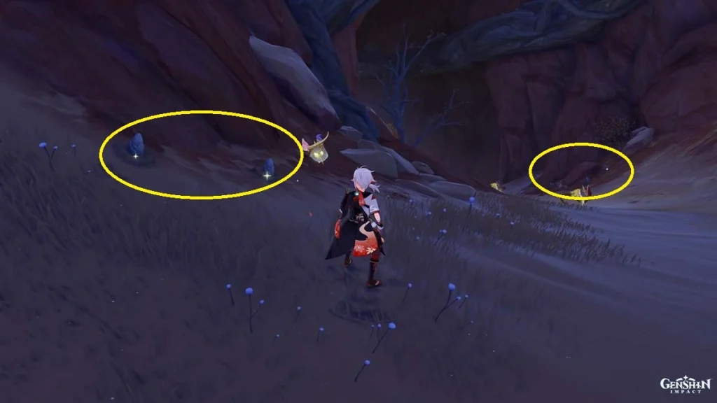 Genshin Impact : Guide des sites de farming de Sand Grease Pupa