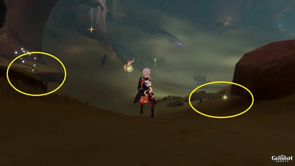 Genshin Impact : Guide des sites de farming de Sand Grease Pupa