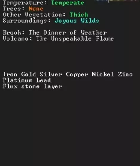 Dwarf Fortress : Les meilleurs conseils et astuces