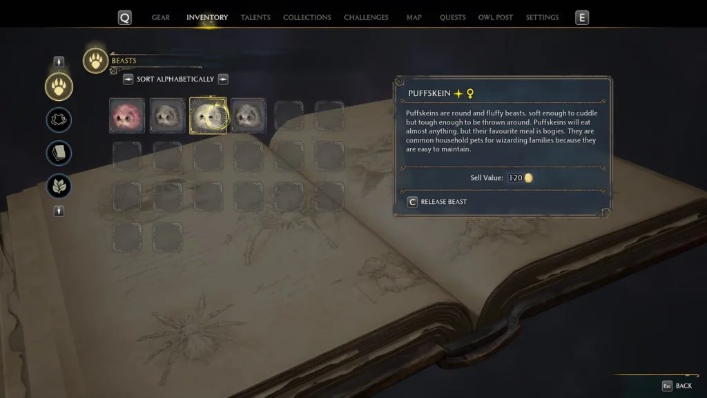 Hogwarts Legacy : Comment trouver les bêtes brillantes