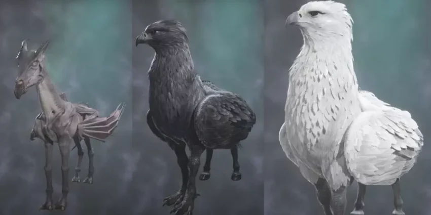 Hogwarts Legacy : Comment voler (Guide complet)